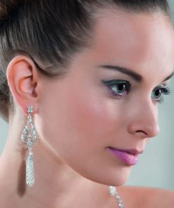 earrings 66600