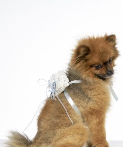 Ringkussen voor hond Sam-03