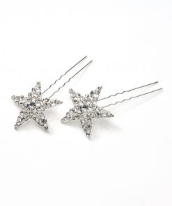 Poirier 2 haarspelden strass BB1276