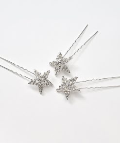 Poirier 3 haarspelden strass BB1275