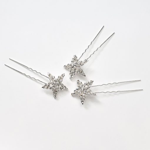 Poirier 3 haarspelden strass BB1275