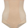 powermesh high waist brief