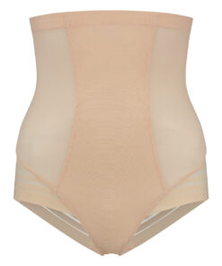 powermesh high waist brief