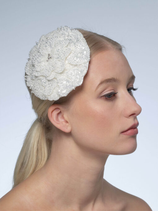 Haaraccessoire