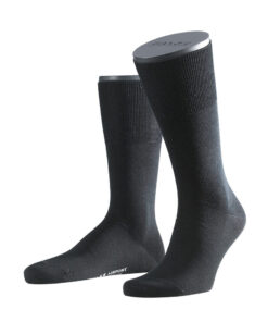 Poirier Falke Airport